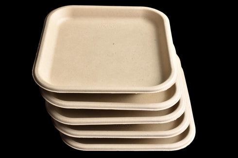 Compostable Party Plates 9 Inch - Eco-Friendly Tableware