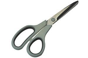 Professional Hairdressing Scissors - APOLLO ZEUS 10 Inch 6483