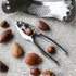 TALA NUT CRACKER. 10A10533