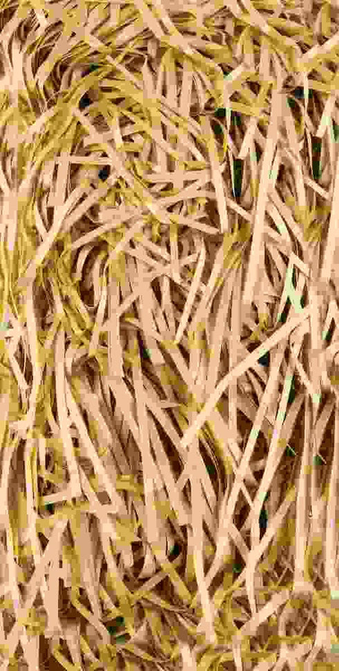 Gold Shredded Tissue - Premium COUNTY GOLD C36 Packaging Material