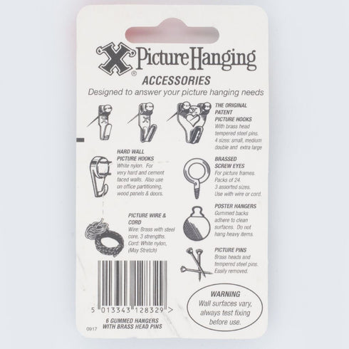 Poster Hangers with Brass Head Pins - SHAW X GUMMED 6 Pack