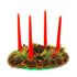 BOLSIUS RED TAPERED DINNER CANDLES 245MM 7.5H 10/PK. 103600352241