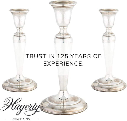 Silver Polish 100ml - Restore Your Silver with HAGERTY A116033