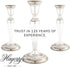 Silver Polish 100ml - Restore Your Silver with HAGERTY A116033
