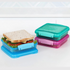 SISTEMA SANDWICH LUNCH BOX 450ML ASSORTED COLOUR - 1 PCS. SIS31646