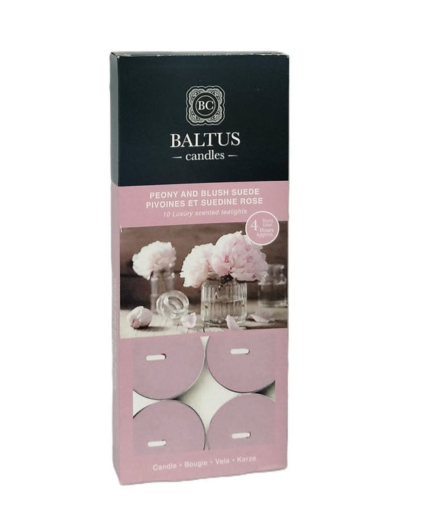 Blush Suede Tealights - BALTUS 4hr Burn, 10 Pack | 230170