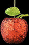 GLITTER APPLE HANGER SILVER. 55130