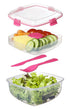 SISTEMA KLIP IT SALAD TO GO CONTAINER 1.1 LITRE. S21356