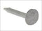 Clout Nails 80G - Extra Large Head 19mm for Secure Fixing