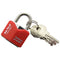 Chrome Plated Padlock - AM-TECH 25MM RHOMBIC T0702
