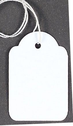 Strung Tags 100 Pack - Durable Labeling Solution C167