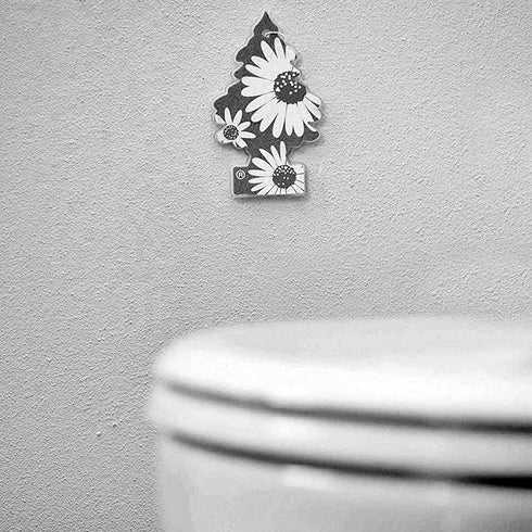 LITTLE TREES CAR AIR FRESHENER - RELAX. MTR0034