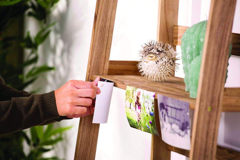 White Tack Adhesive - COUNTY 50 GM C403 for Secure Holding