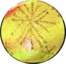 12 LED MULTICOLOUR LIGHT UP WHITE BAUBLES 80MM. DP54767