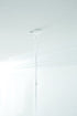 COMMAND PARTY CEILING HOOKS 3 /PK. 17803-ES 399355