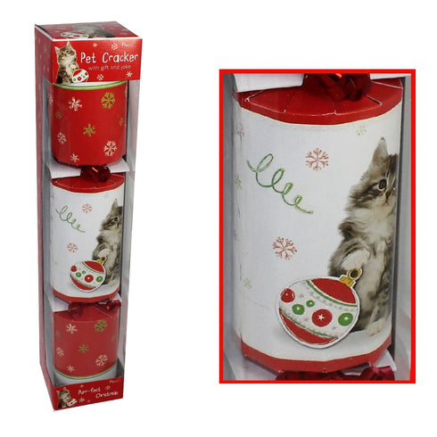 KITTEN PET CHRISTMAS CRACKERS. PECJ