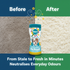 AIRPURE PET PROUD CARPET FRESHENER WILD COUNTRY FLOWERS 500GM. PPCF017
