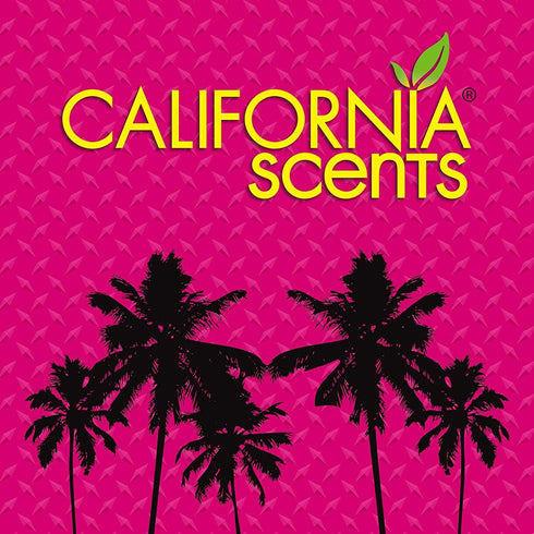 California Scents Ice Car Air Freshener 42g - Freshen Your Ride