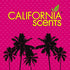California Scents Ice Car Air Freshener 42g - Freshen Your Ride