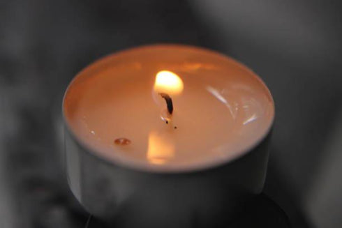 Unscented Tealights - 8 Hour Burn, 20 Pack | BALTUS PEV020-20