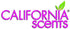 California Scents Ice Car Air Freshener 42g - Freshen Your Ride