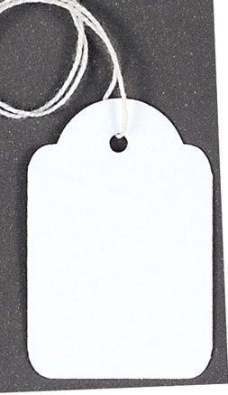 Strung Tags 100 Pack - Durable Labeling Solution C167