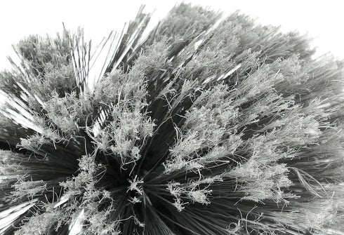 Cobweb Cleaning Brush with Handle - ELLIOTTS 10F00217