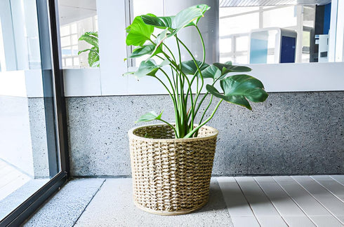 Seagrass Waste Basket - JVL Natural Round Bin 28x25cm