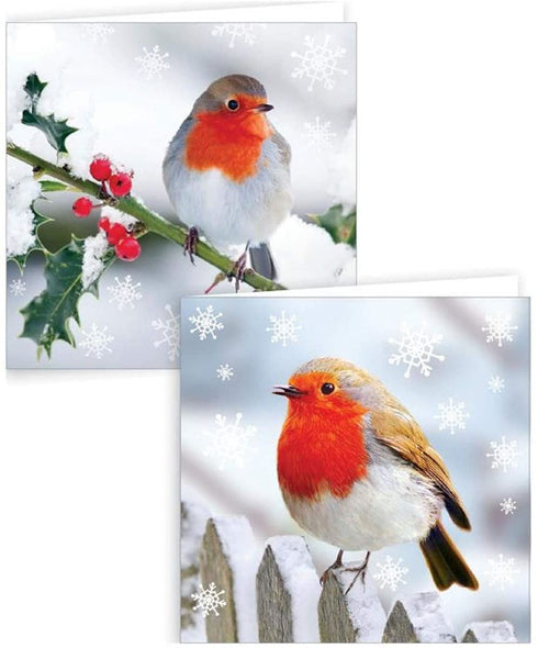 GIFTMAKER CHRISTMAS ROBIN GREETINGS CARDS 10/PK. GC801