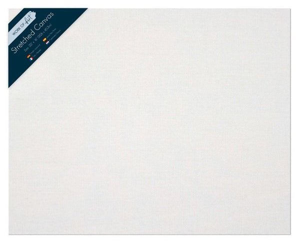 WORK OF ART STRETCHED CANVAS 50 X 40CM. TA5142