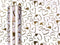 WHITE DECO FABRIC WITH GOLD HEARTS 5M. 960403