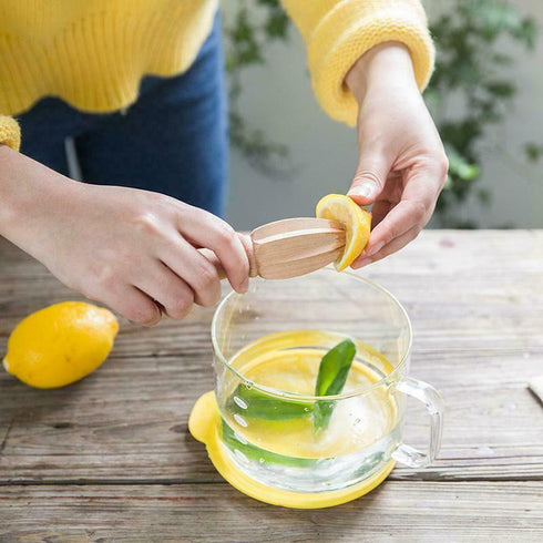 Lemon Reamer - TALA 10A30410 Citrus Juicer for Fresh Juice