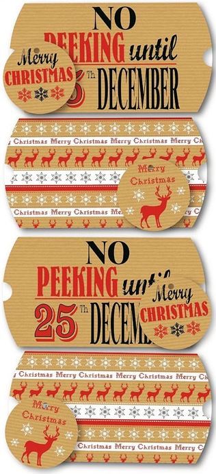 4 LUXURY CHRISTMAS TRADITIONAL PILLOW PACKS. 14361
