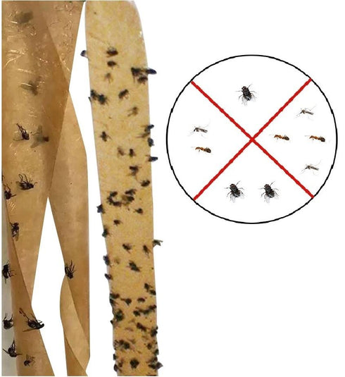 Insect Catcher Traps - 10 Pack FLY & INSECT CATCHERS RY0700