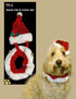 CHRISTMAS FESTIVE PET SANTA HAT BELL COLLAR SET. Z98697 DP54148