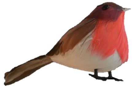 ROBINS IN DISPLAY TRAY. 55205