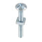 Roofing Bolts M6x40 - Zinc Coated with Nuts, 5 Pack - FP0515