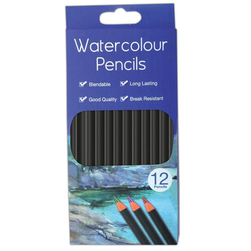 Watercolour Pencils Set - WORK OF ART 12 Pack 5146