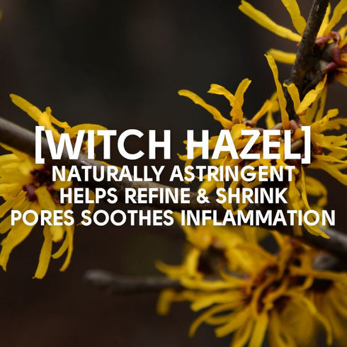 FACE FACTS WITCH HAZEL CLEANSING CLAY MASK 60ML. 27566-150
