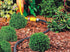 Soaker Hose 10m - Efficient Watering with HOZELOCK 100-001-917