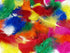 Craft Feathers for Easter Bonnets & Art Projects - FLUFFY & COLORFUL