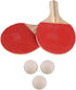 HOT SHOTS TABLE TENNIS SET. 1394522