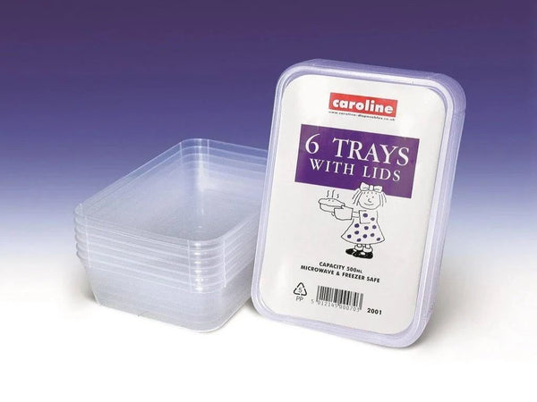 Microwave Storage Containers - CASTLEVIEW 500ML 6/PK CV2001
