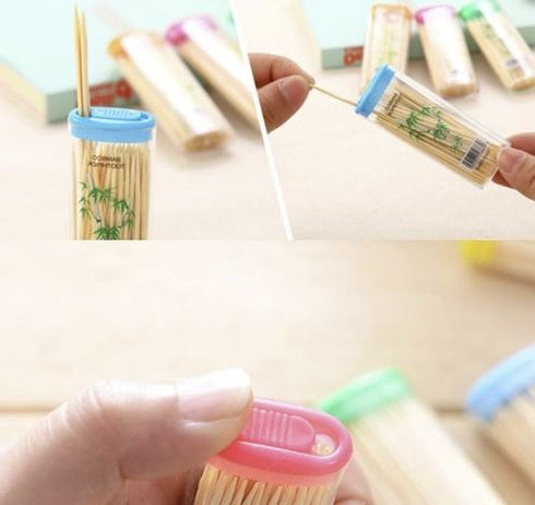 Bamboo Toothpicks Case - 100 Pack Pocket Size JL1232