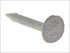 Clout Nails 80G - Extra Large Head 19mm for Secure Fixing