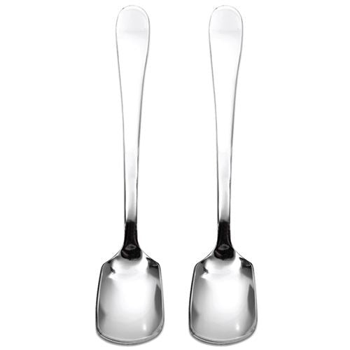 Stainless Steel Ice Cream Spoon - WINDSOR 2 Pack