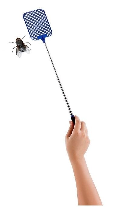 Extendable Fly Swatter - ASHLEY Telescopic BB-FS095