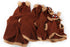RUDOLPH REINDEER PET / DOG SUIT COSTUME 30CM. PE109630