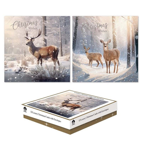 CHRISTMAS CARDS SNOW DEERS - PACK OF 12 SQUARE BOXED. TAX9040A