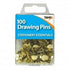 Brass Drawing Pins - 100 Tiger Essential T301581 for Secure Fastening
